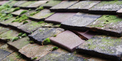 Leigh roof repair costs